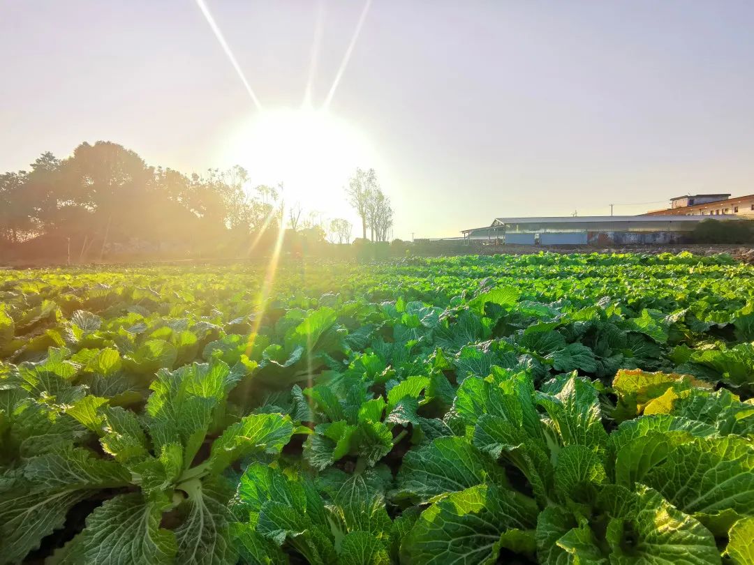 a2a08b33a9a7e6ccfa16ca926848fb9c