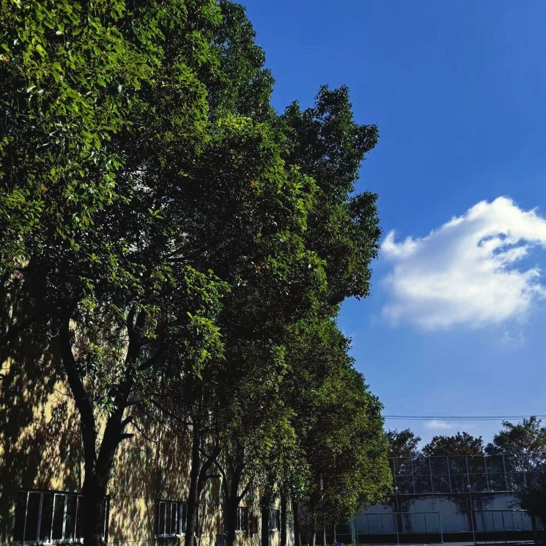 103b9d8ff1da16a9c1b51c86c7c43419