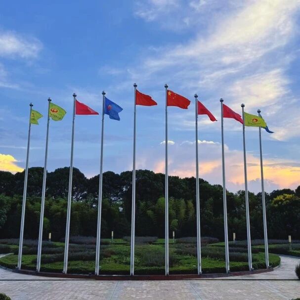 fa3e16491307d2f9b764fd23d1c005ef